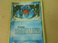 totodile