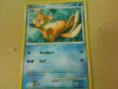 buizel