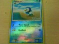 piplup